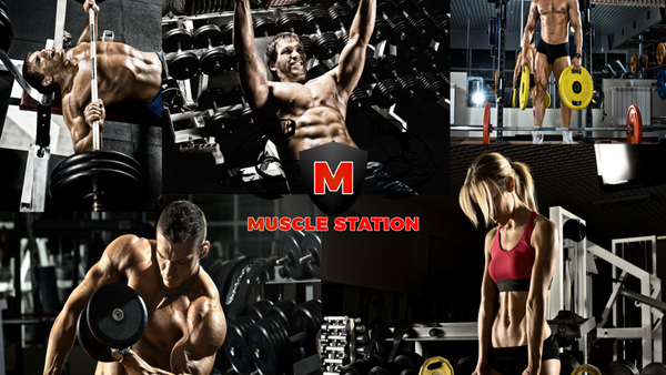 Muscle Building Tips By Muscle Station