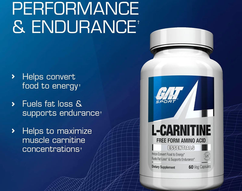 L Carnitine For Fat Loss